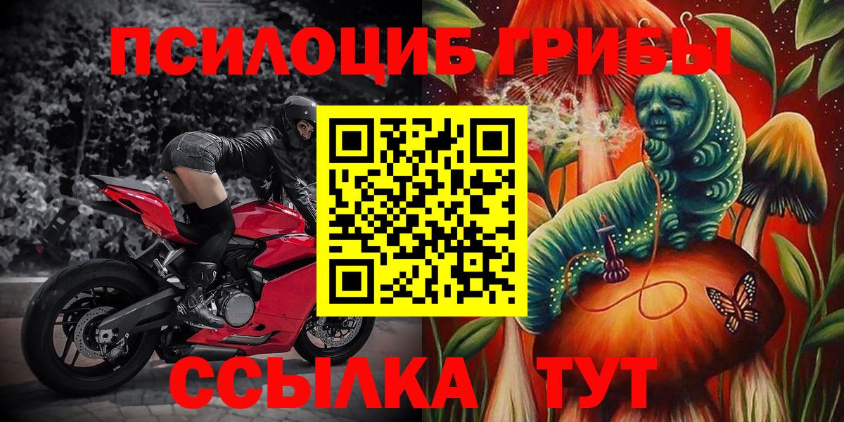 наркошоп  Псилоцибиновые грибы Magic Shrooms  Вход с VPN  Дедовск 